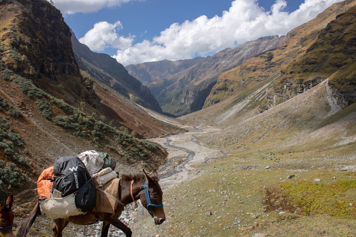 Rupin Pass Trek Itinerary: Your Ultimate Adventure Plan