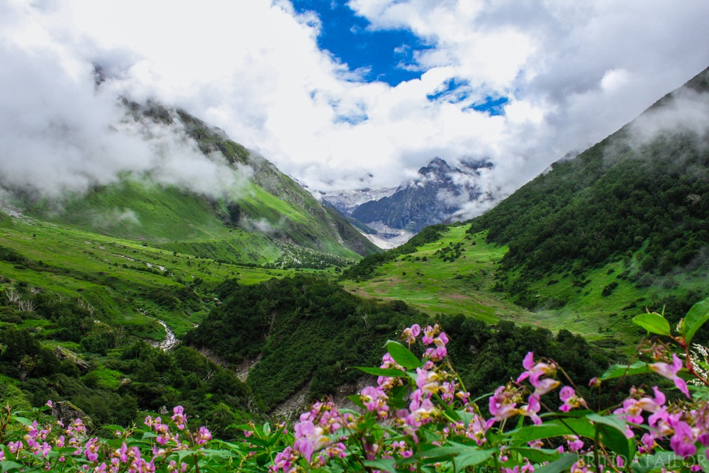 Valley of Flowers Trek | Why You Need a Professional Guide